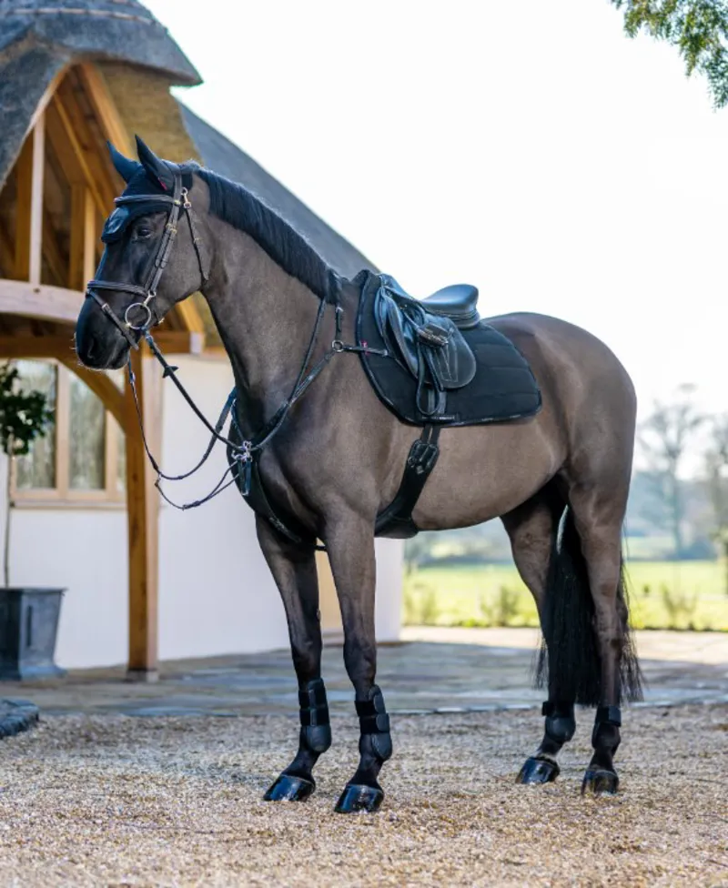 LeMieux GP Work Pad - Black Large-1